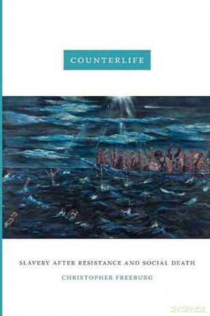 Counterlife: Slavery after Resistance and Social Death - Christopher Freeburg [KSIĄŻKA]