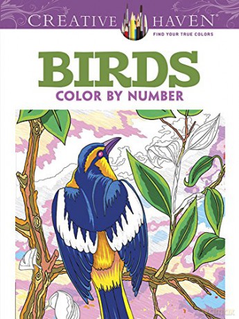 Creative Haven Birds Color by Number Coloring Book - George Toufexis [KSIĄŻKA]