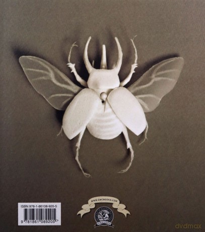 Creative Paper Cutting: 15 Paper Sculptures to Inspire and Delight - Cheong-ah Hwang [KSIĄŻKA]