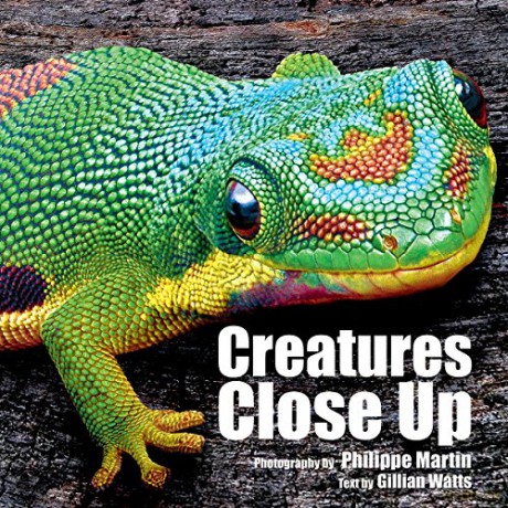 Creatures Close Up - Gillian Watts [KSIĄŻKA]