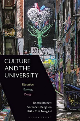 Culture and the University: Education, Ecology, Design - Ronald Barnett [KSIĄŻKA]