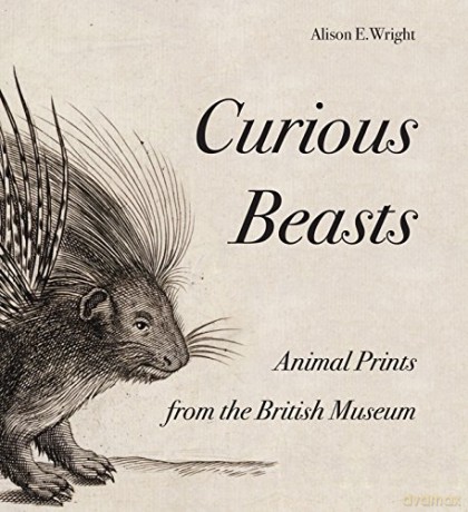 Curious Beasts: Animal Prints from the British Museum (British Museum Department of Prints and Drawings) - Alison E. Wright [KSIĄŻKA]