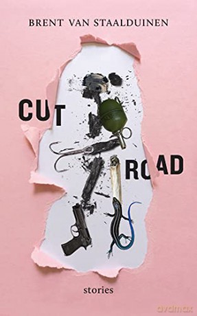 Cut Road (Essential Prose Series): Volume 197 - Brent Van Staalduinin [KSIĄŻKA]