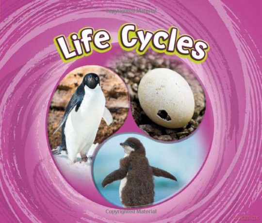 Cycles of Nature: Life Cycles - Jaclyn Jaycox [KSIĄŻKA]