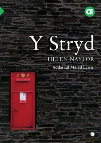 Cyfres Amdani: Stryd, Y - Helen Naylor [KSIĄŻKA]