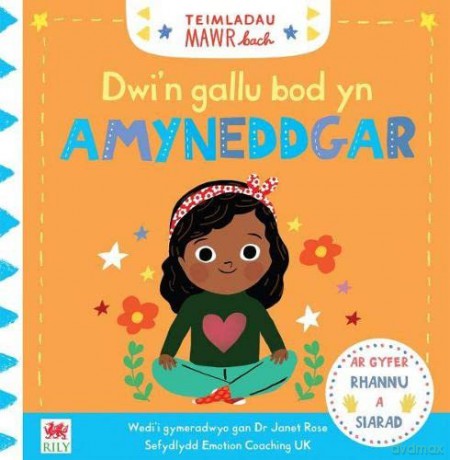 Cyfres Teimladau Mawr Bach: Dwi'n Gallu Bod yn Amyneddgar - Dr Janet Rose [KSIĄŻKA]