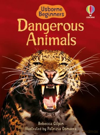 Dangerous Animals: 1 (Beginners) - Rebecca Gilpin [KSIĄŻKA]
