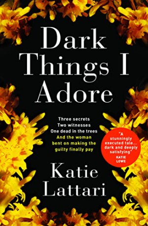 Dark Things I Adore - Katie Lattari [KSIĄŻKA]