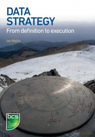 Data Strategy: From definition to execution - Ian Wallis [KSIĄŻKA]