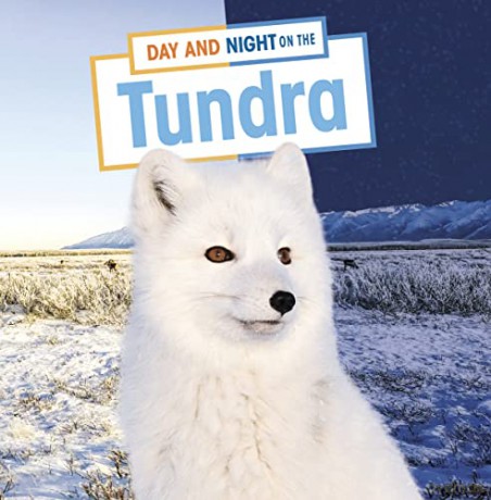 Day and Night on the Tundra (Habitat Days and Nights) - Mary Boone [KSIĄŻKA]
