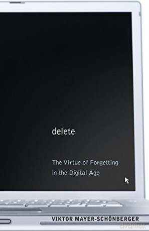 Delete: The Virtue of Forgetting in the Digital Age (New in Paper) - Viktor Mayer-Schönberger [KSIĄŻKA]
