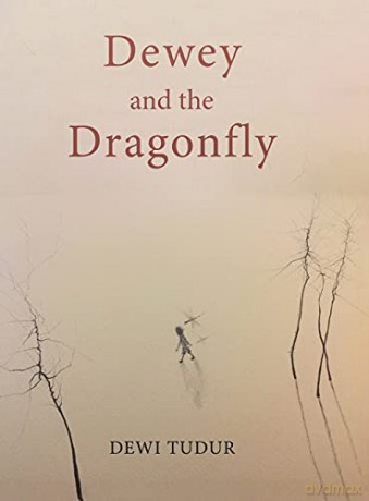 Dewey and the Dragonfly - Dewi Tudur [KOMIKS]