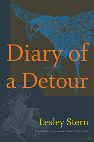 Diary of a Detour (Writing Matters!) - Lesley Stern [KSIĄŻKA]
