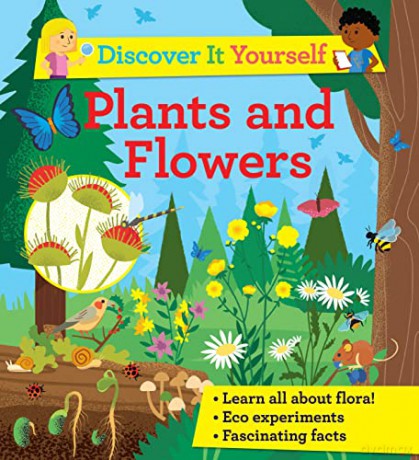 Discover it Yourself: Plants and Flowers (Discover It Yourself, 12) - Sally Morgan [KSIĄŻKA]