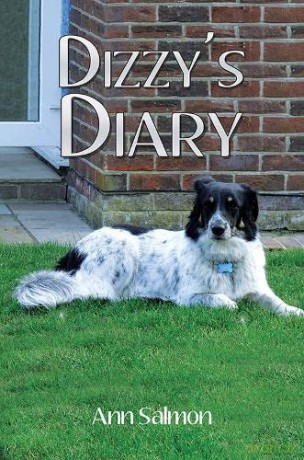 Dizzy's Diary - Ann Salmon [KSIĄŻKA]