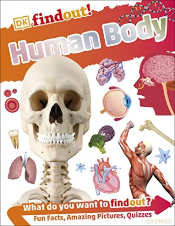DKfindout! Human Body [KSIĄŻKA]