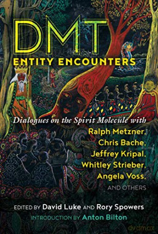 DMT Entity Encounters: Dialogues on the Spirit Molecule with Ralph Metzner, Chris Bache, Jeffrey Kripal, Whitley Strieber, Angela Voss, and Others - David Luke [KSIĄŻKA]