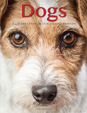 Dogs: A Celebration of our Canine Friends (Animals) - Tom Jackson [KSIĄŻKA]