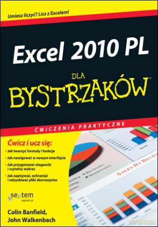 Excel 2010 PL. Ćwiczenia praktyczne dla bystrzaków [KSIĄŻKA]