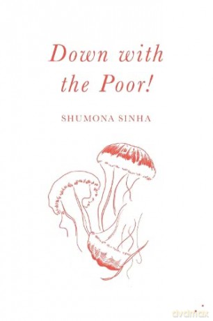 Down with the Poor! - Shumona Sinha [KSIĄŻKA]