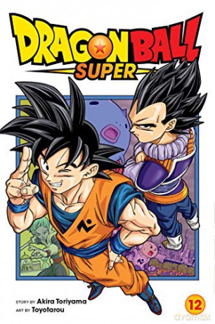 Dragon Ball Super, Vol. 12: Volume 12 - Toyotarou [KSIĄŻKA]