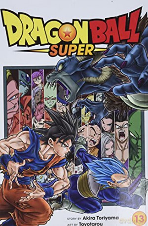 Dragon Ball Super, Vol. 13: Volume 13 - Toyotarou [KSIĄŻKA]