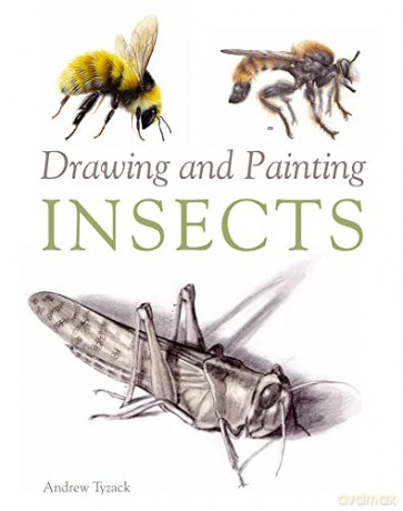 Drawing and Painting Insects - Andrew Tyzack [KSIĄŻKA]