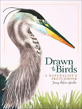 Drawn to Birds: A Naturalist's Sketchbook (Jenny Geuder Art) - Jenny deFouw Geuder [KSIĄŻKA]
