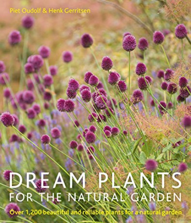 Dream Plants for the Natural Garden: Over 1,200 Beautiful and Reliable Plants for a Natural Garden - Piet Oudolf [KSIĄŻKA]