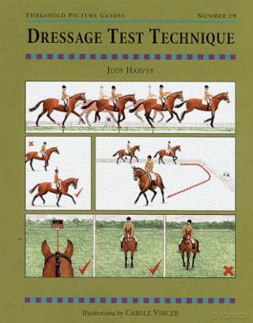 Dressage Test Technique (Threshold Picture Guide): 29 - Judy Harvey [KSIĄŻKA]