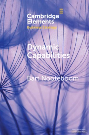 Dynamic Capabilities: History and an Extension (Elements in Business Strategy) - Bart Nooteboom [KSIĄŻKA]
