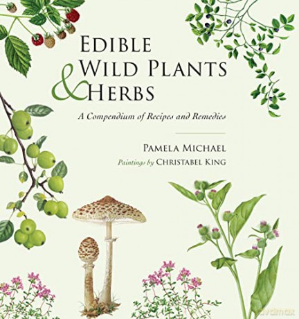 Edible Wild Plants and Herbs: A compendium of recipes and remedies - Pamela Michael [KSIĄŻKA]