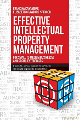 Effective Intellectual Property Management for Small to Medium Businesses and Social Enterprises: IP Branding, Licenses, Trademarks, Copyrights, Patents and Contractual Arrangements - Francina Cantatore [KSIĄŻKA]