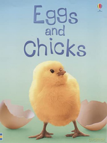 Eggs and Chicks (Beginners) - Fiona Patchett [KSIĄŻKA]