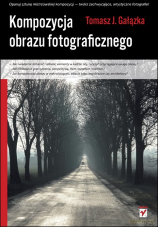 Kompozycja obrazu fotograficznego [KSIĄŻKA]
