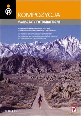 Kompozycja. Warsztaty fotograficzne [KSIĄŻKA]