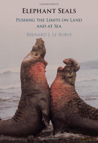 Elephant Seals: Pushing the Limits on Land and at Sea - Bernard J. Le Boeuf [KSIĄŻKA]