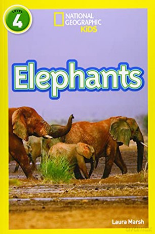Elephants: Level 4 (National Geographic Readers) - Laura Marsh [KSIĄŻKA]
