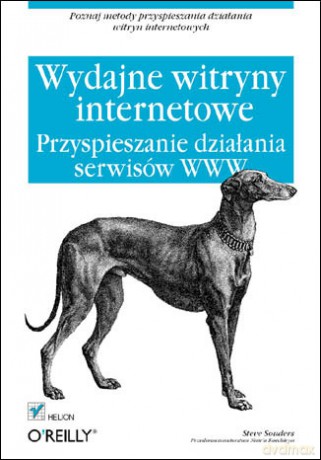 Wydajne witryny internetowe. Przyspieszanie działania serwisów WWW [KSIĄŻKA]