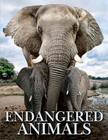 Endangered Animals - Tom Jackson [KSIĄŻKA]
