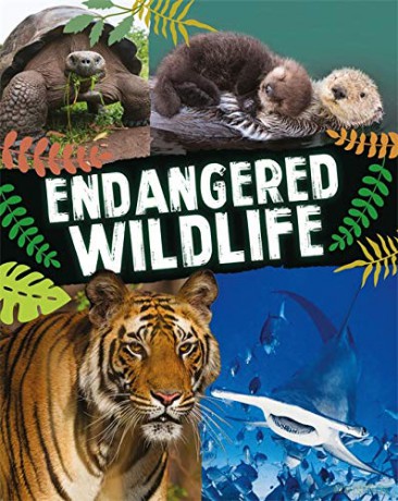 Endangered Wildlife - Anita Ganeri [KSIĄŻKA]