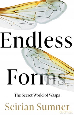 Endless Forms: The Secret World of Wasps - Seirian Sumner [KSIĄŻKA]