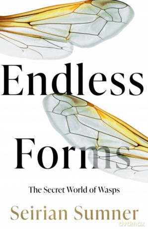 Endless Forms: The Secret World of Wasps - Seirian Sumner [KSIĄŻKA]