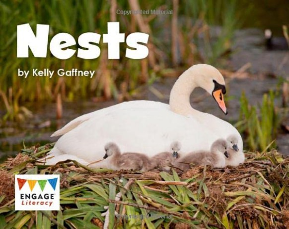 Engage Literacy Pink: Nests - Kelly Gaffney [KSIĄŻKA]