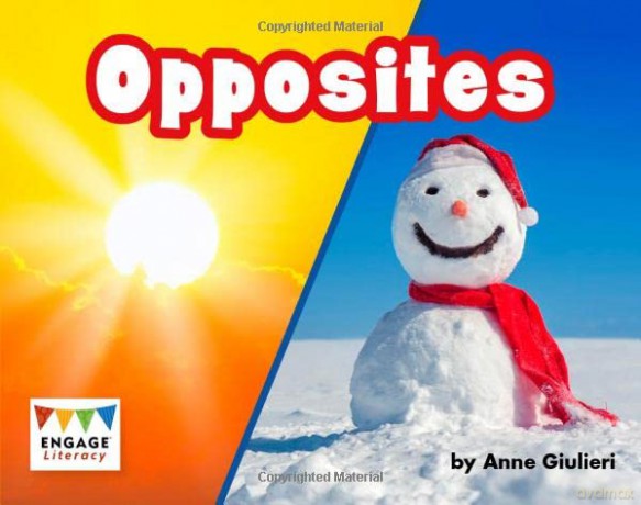 Engage Literacy Yellow - Extension B: Opposites - Anne Giulieri [KSIĄŻKA]