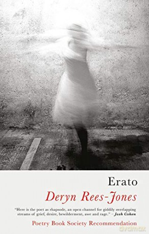 Erato - Deryn Rees-Jones [KSIĄŻKA]