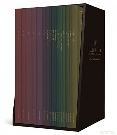 ESV Illuminated Scripture Journal: New Testament Set - Crossway Books [KSIĄŻKA]