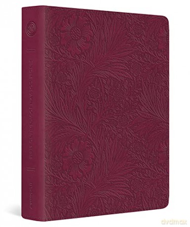 ESV Single Column Journaling Bible: Esv Single Column Journaling Bible Trutone, Raspberry, Floral Design - Crossway [KSIĄŻKA]