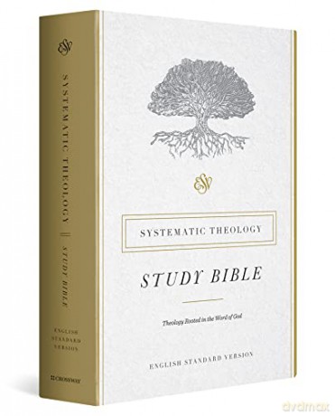 ESV Systematic Theology Study Bible - David F Wells [KSIĄŻKA]
