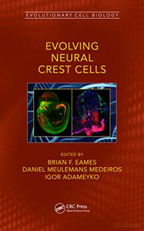 Evolving Neural Crest Cells (Evolutionary Cell Biology) - Brian Frank Eames [KSIĄŻKA]